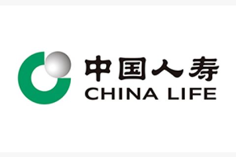 保险翻译