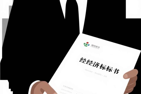 经济标书翻译