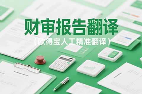 会计报告文件翻译