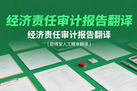 经济责任审计报告翻译公司