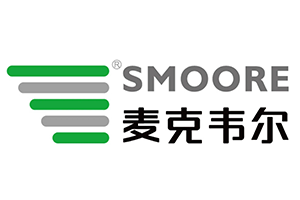 深圳麦克韦尔股份有限公司企业体系文件长期中译英翻译合作案例