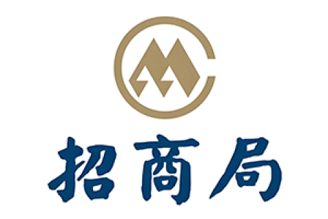 招商局国际信息技术有限公司吉布提自贸区ICT项目投标书中译英翻译服务合作