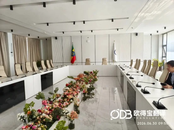 欧得宝海外驻场交传落地|埃塞俄比亚气象政企技术交流口译服务