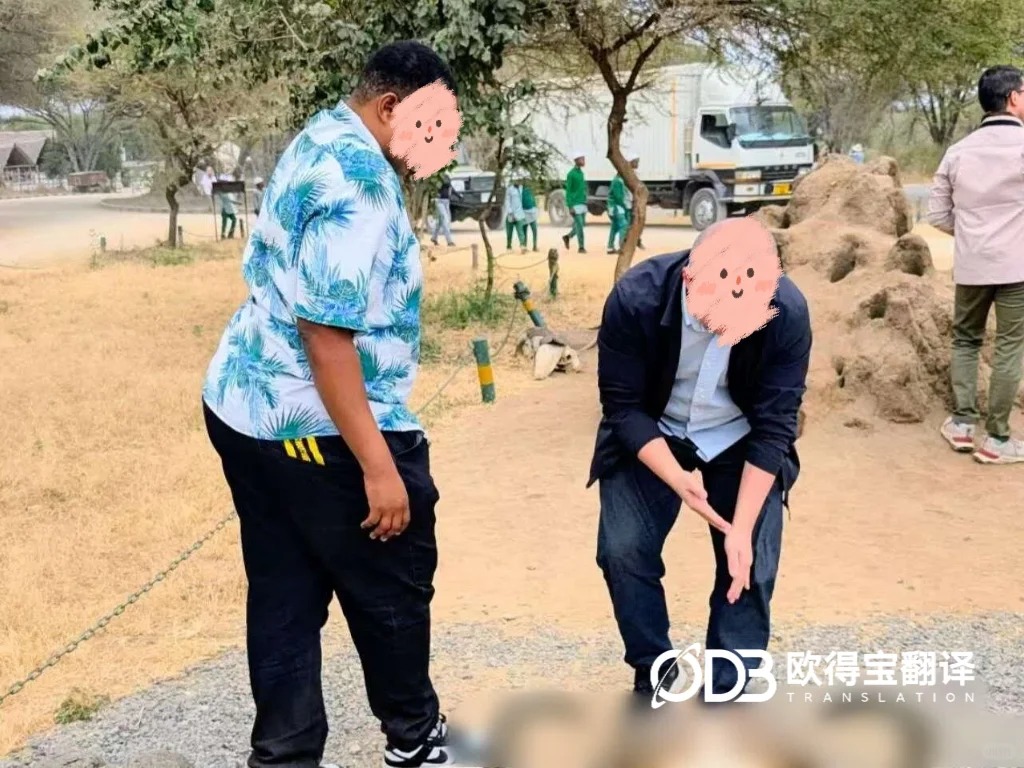 深耕东非蓝海市场！欧得宝实地护航坦桑尼亚海外考察英语口译