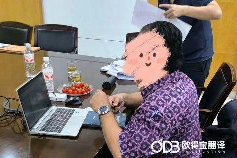 精审精工智造！欧得宝圆满交付宁波机械行业涉外审核英语口译