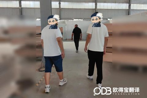 赋能木业跨境合作！欧得宝圆满交付郑州木材厂区考察意大利语口译