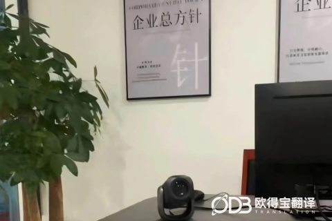 深圳LED照明产品宣讲印尼语口译案例｜欧得宝翻译外贸涉外口译交付