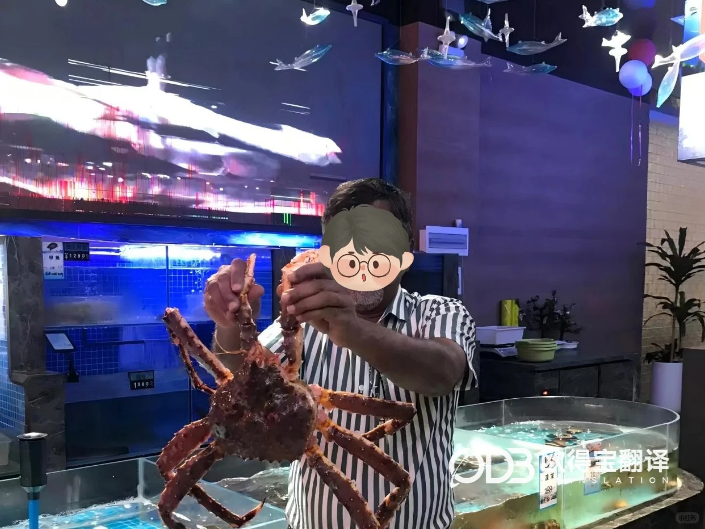宝鸡金属钛行业厂区考察英语口译|欧得宝翻译金属材料跨境商务口译交付