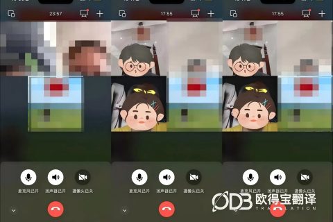 线上涉外法律调解越南语交传｜欧得宝翻译中越法务纠纷会议口译交付