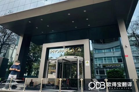 伊斯坦布尔金融行业中英口译｜欧得宝翻译境外商务考察交流口译交付