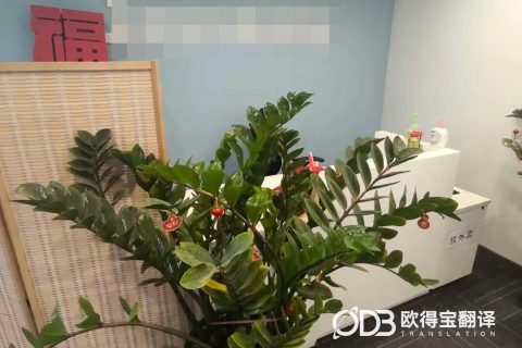 北京游戏行业英语商务口译｜欧得宝翻译数字文创游戏涉外项目对接口译交付
