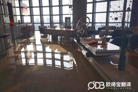 珠海FDA审计英语交传｜欧得宝翻译多日驻场护航国际药监合规审核