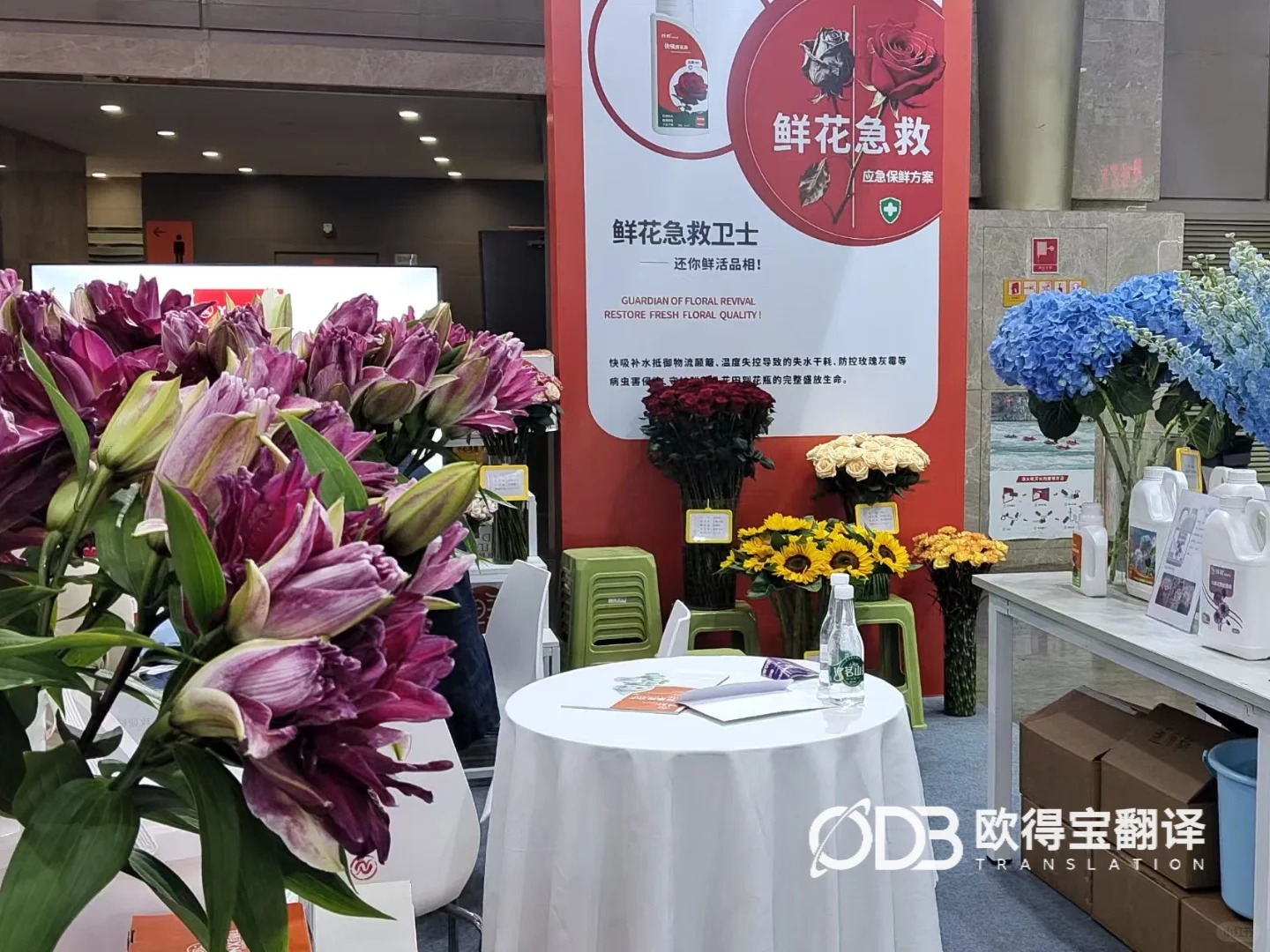 昆明花卉展会英语口译|欧得宝翻译助力云花产业绽放国际市场