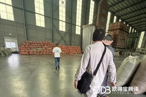 淮安羽绒行业英语口译｜欧得宝翻译护航羽绒外贸验厂与跨境合作