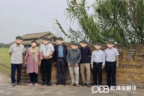 金华考古交流会英语交传｜欧得宝翻译助力中外文博考古学术互通