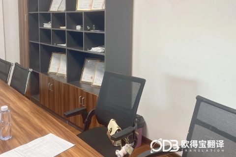 聚焦工业技术交流，欧得宝翻译为长沙水泵行业会议提供专业英语口译服务